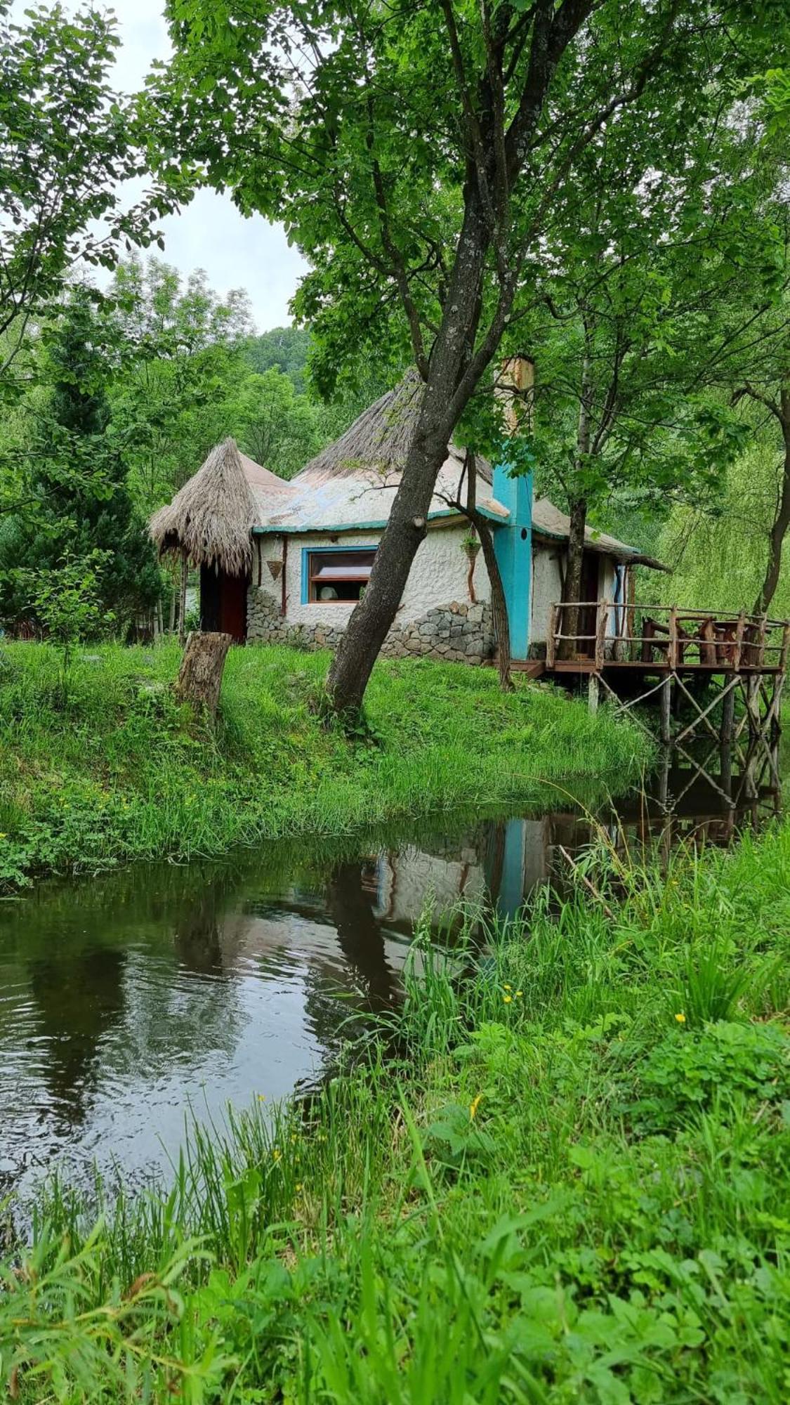 Viewtopia The Secret Land Valea Drăganului Exterior foto