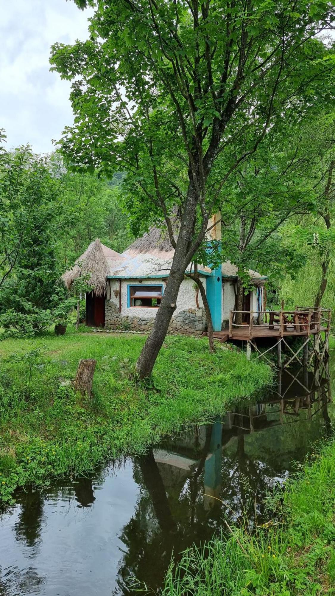 Viewtopia The Secret Land Valea Drăganului Exterior foto